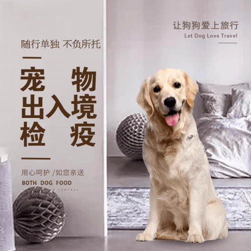 万盛区宠物托运到哥伦比亚猫狗宠物入境规定和