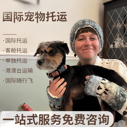 万盛区国际宠物托运到阿根廷宠物入境规定和要