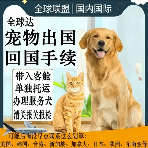 万盛区宠物托运到柬埔寨宠物入境规定和要求