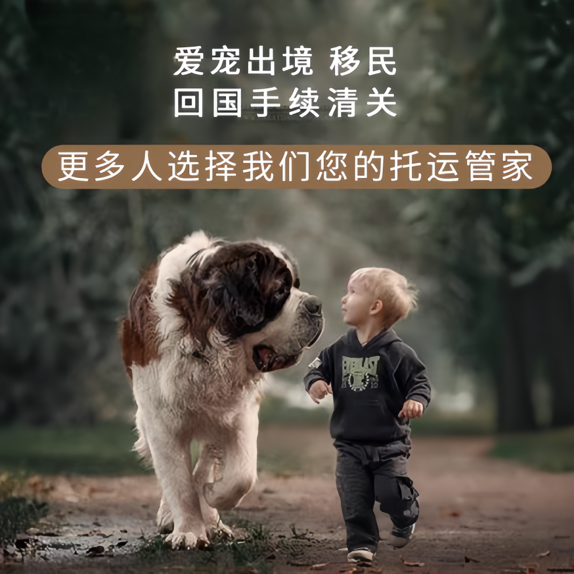 满财万盛区宠物全球达宠物托运在遵守入境目的地政策的条件