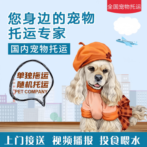 满财万盛区宠物全球达宠物托运作为专业的宠物运输代理机构